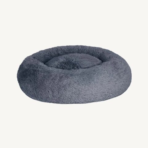 DogGrey1