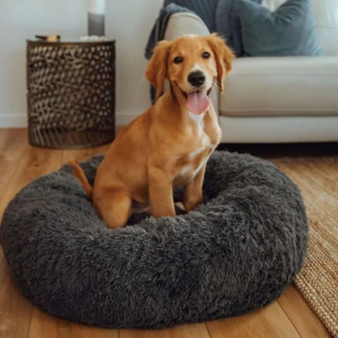 The Embrace™ Weighted Anxiety Bed