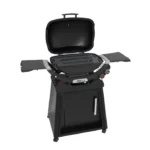 WeberQ 2800N+ Propane Gas Grill With Stand - Midnight Black