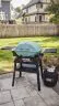 Weber Q2800N+ Portable Propane Gas BBQ Grill - Sky Blue